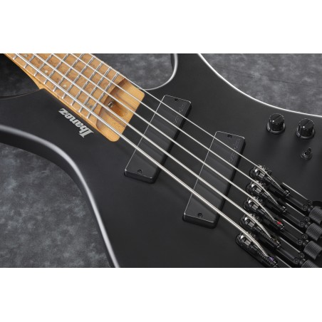 Ibanez EHB1005MS-BKF Black Flat