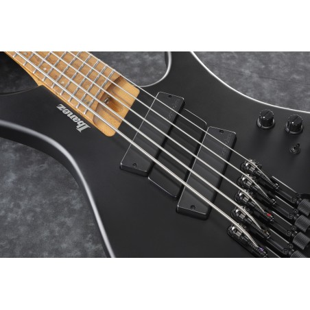 Ibanez EHB1005MS-BKF Black Flat