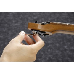Ibanez EHB1005MS-BKF Black Flat