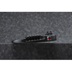 Ibanez EHB1005MS-BKF Black Flat