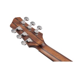 Ibanez JGM5 Black Satin Top Natural