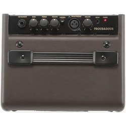 Ibanez Troubadour T15II