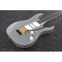 Ibanez RG5170G Silver Flat