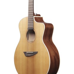 Ibanez PA230E Natural Satin Top