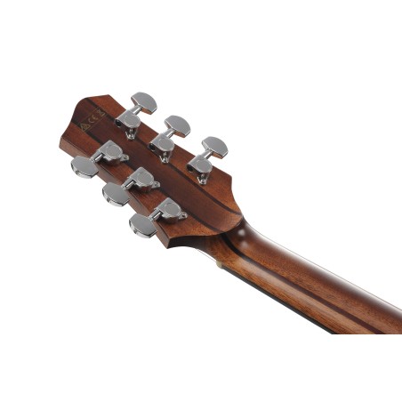Ibanez PA230E Natural Satin Top