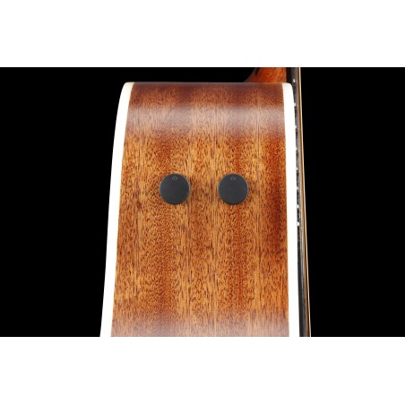 Ibanez PA230E Natural Satin Top