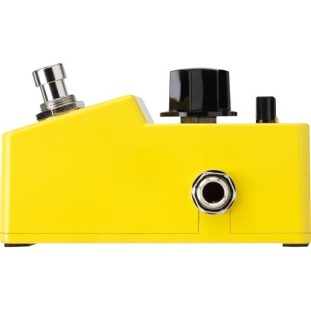 Ibanez FLMINI