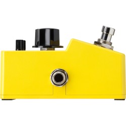 Ibanez FLMINI