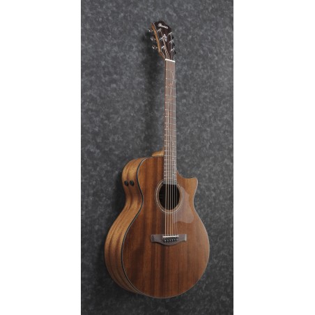 Ibanez AE295 Natural Low Gloss