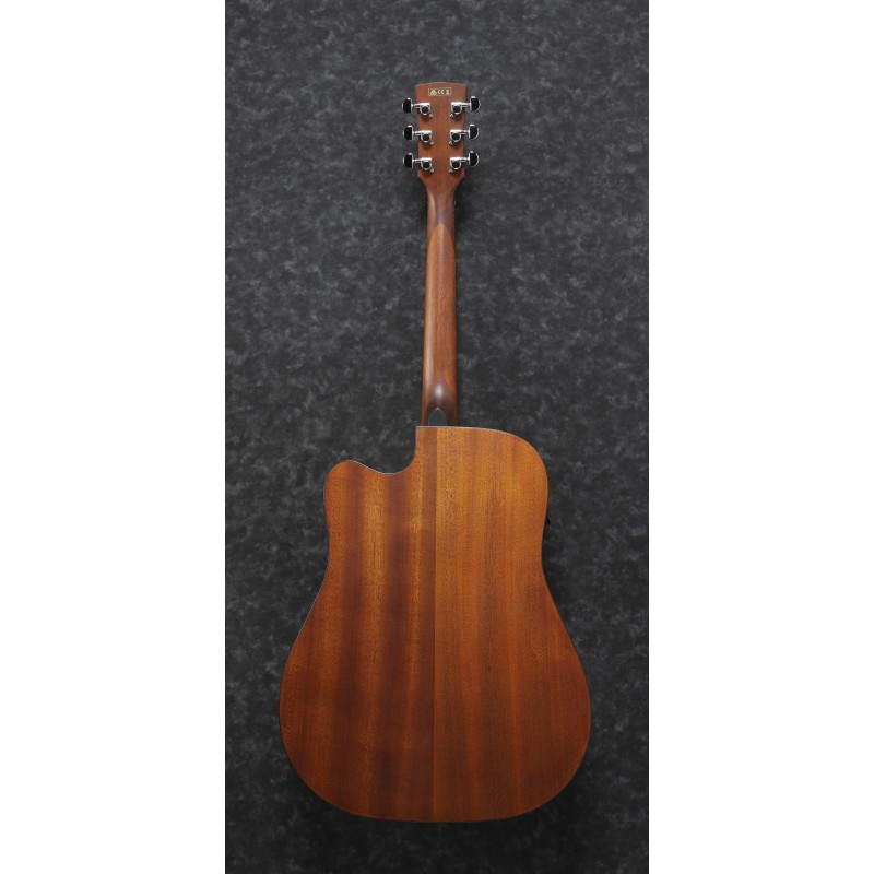 Ibanez PF10CE Open Pore Natural
