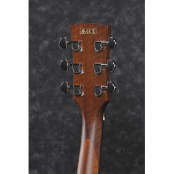 Ibanez PF10CE Open Pore Natural