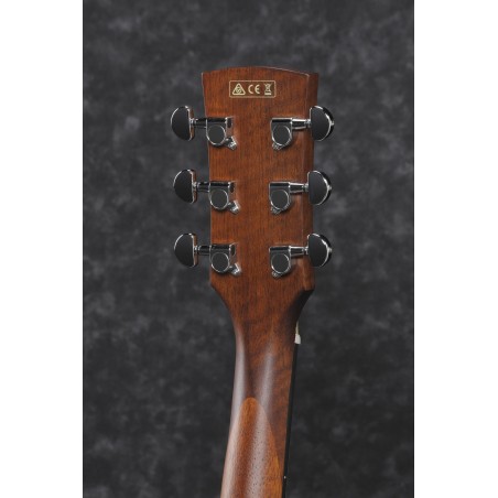 Ibanez PF10CE Open Pore Natural