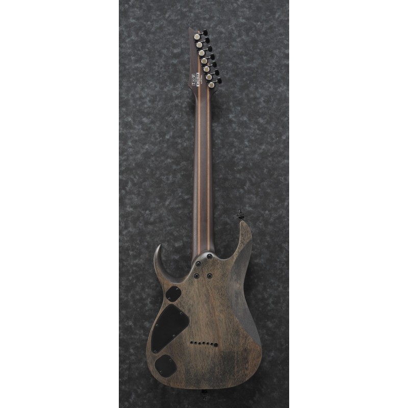 Ibanez RGD71ALPA Charcoal Burst Black Stained Flat