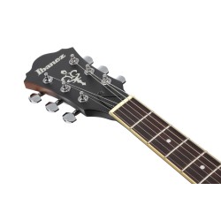 Ibanez AS53L-TF Tobacco Flat