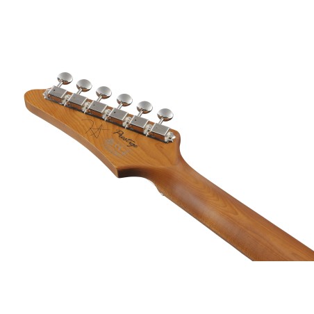 Ibanez FLATV1-BK Josh Smith