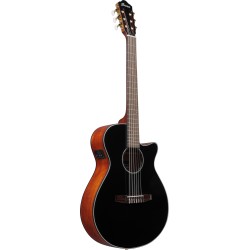 Ibanez AEG50N Black High Gloss