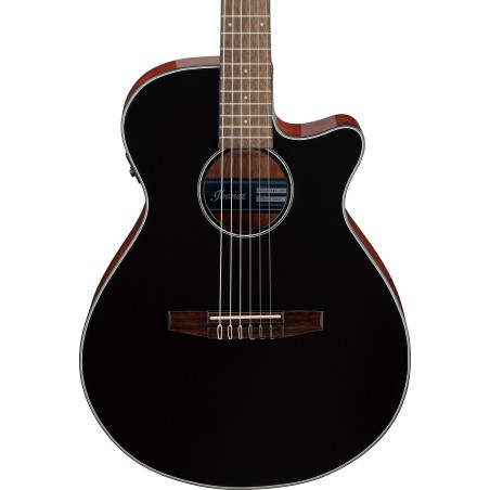 Ibanez AEG50N Black High Gloss