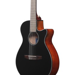 Ibanez AEG50N Black High Gloss