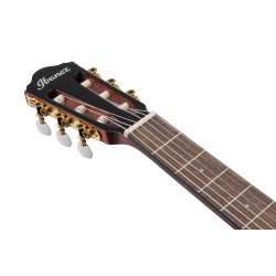 Ibanez AEG50N Black High Gloss