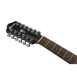 Ibanez AEG5012 Black High Gloss