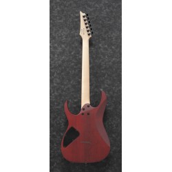 Ibanez RG421PB Caribbean Shoreline Flat