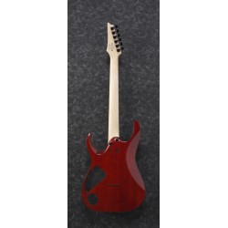 Ibanez RGA42FM Transparent Gray Flat