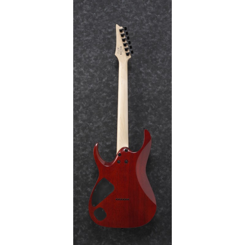Ibanez RGA42FM Transparent Gray Flat