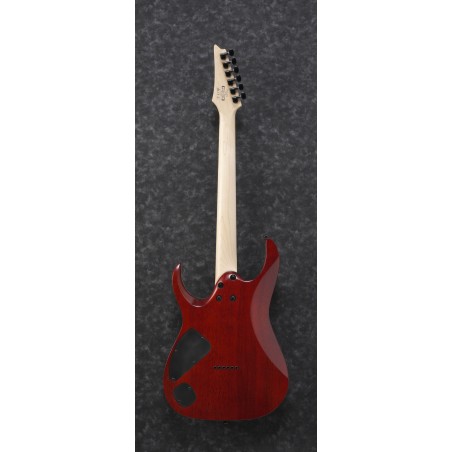 Ibanez RGA42FM Transparent Gray Flat