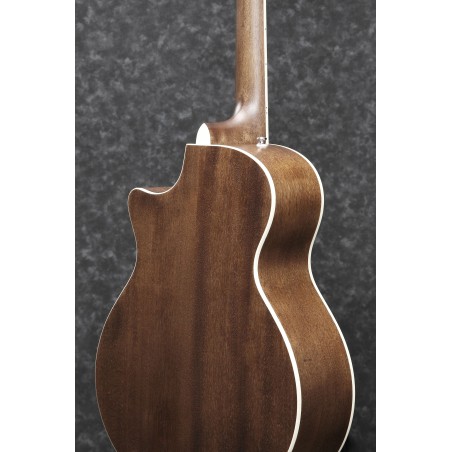 Ibanez AE245JR Open Pore Natural