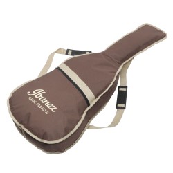 Ibanez AE245JR Open Pore Natural
