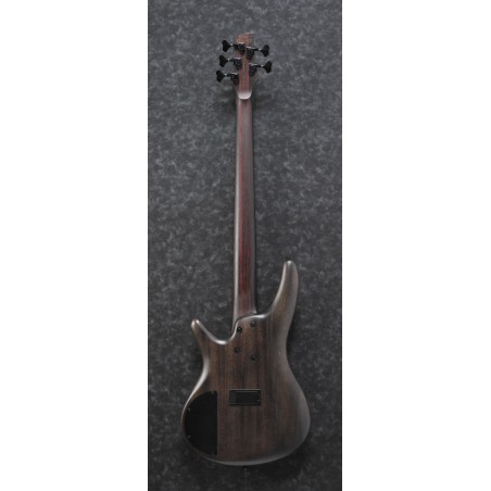 Ibanez SR1605B Caribbean Shoreline Flat