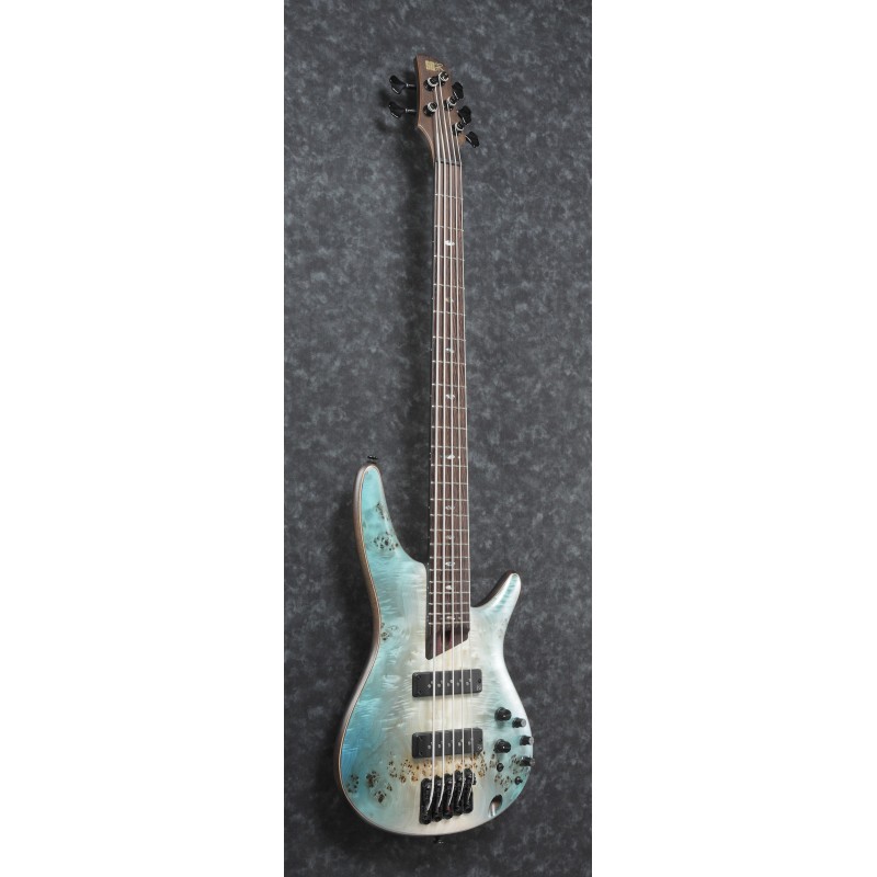 Ibanez SR1605B Caribbean Shoreline Flat