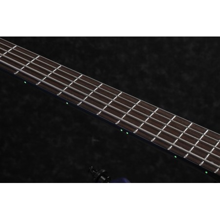 Ibanez EHB1505-PLF Pacific Blue Burst Flat