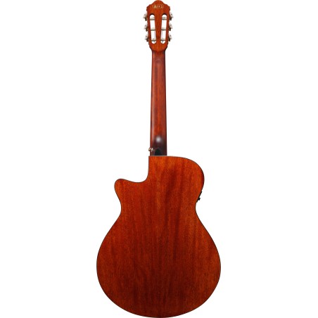 Ibanez AEG50N Natural High Gloss