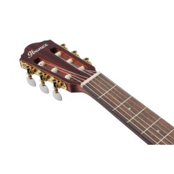 Ibanez AEG50N Natural High Gloss