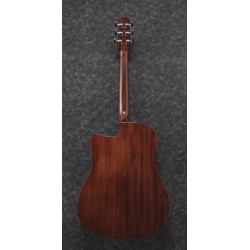 Ibanez AAD170CE Natural Low Gloss