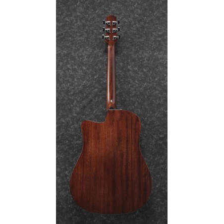 Ibanez AAD170CE Natural Low Gloss