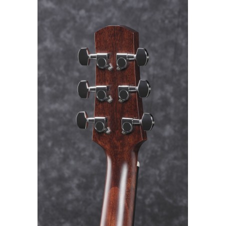 Ibanez AAD170CE Natural Low Gloss