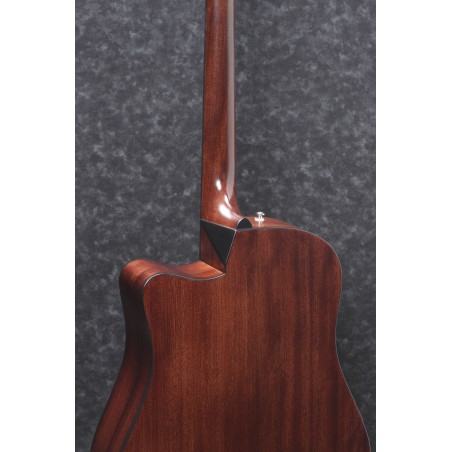 Ibanez AAD170CE Natural Low Gloss