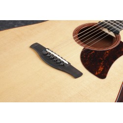 Ibanez AAD170CE Natural Low Gloss