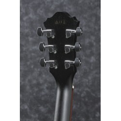 Ibanez AE295 Weathered Black Open Pore