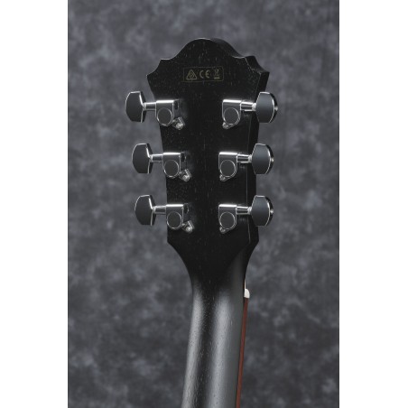 Ibanez AE295 Weathered Black Open Pore