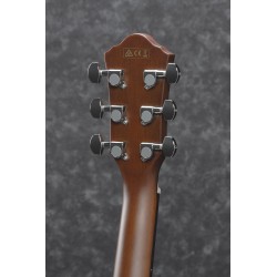 Ibanez AEG70TCH Transparent Charcoal Burst High Gloss
