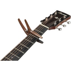 Ibanez ICGC10W