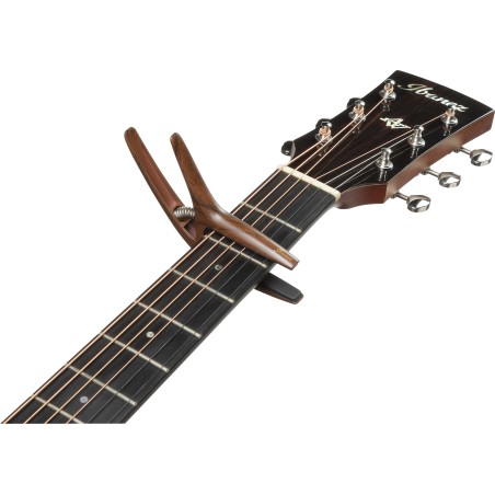 Ibanez ICGC10W