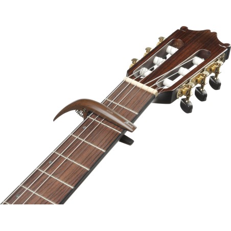Ibanez ICGC10W