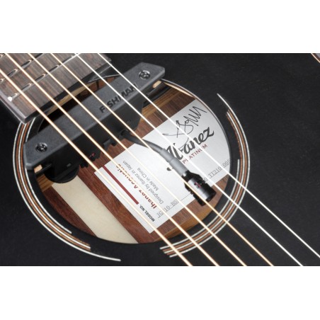 Ibanez JGM10 Black Satin Jon Gomm