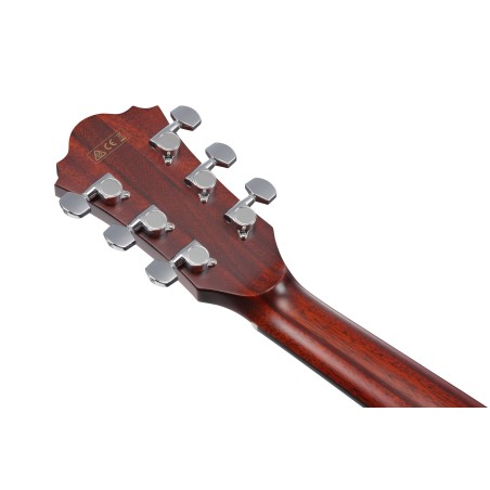 Ibanez AE410-LGS Natural Low Gloss