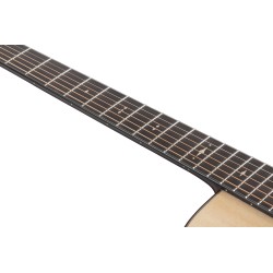 Ibanez AAD400CE Natural Low Gloss