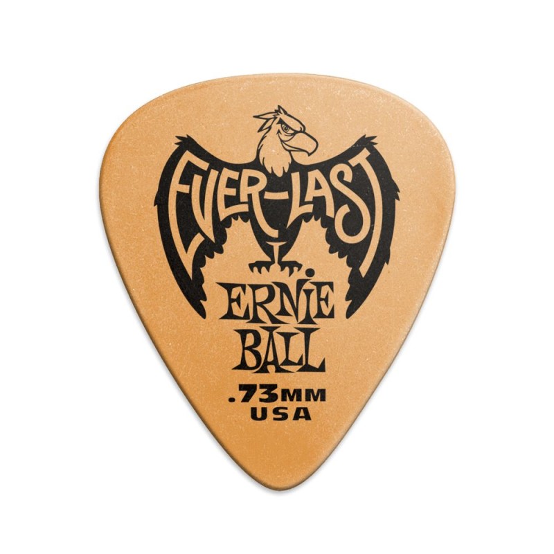 Ernie Ball 9190 .73 Everlast